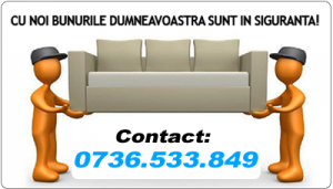 Detalii despre compania noastra &#8211; Mutare-Sigura.ro